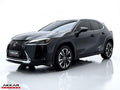 LEXUS LEXUS UX 250H DYNAMIC 2024