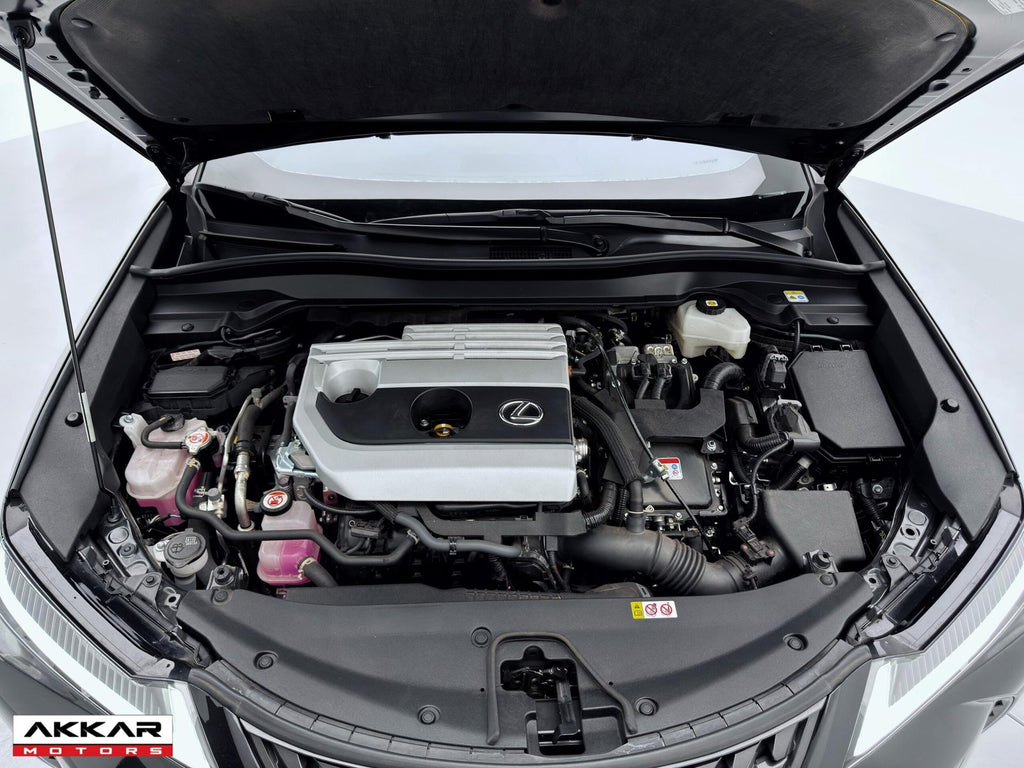 LEXUS LEXUS UX 250H DYNAMIC 2024