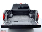 FORD F-150 LARIAT FX4